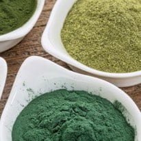 chlorella